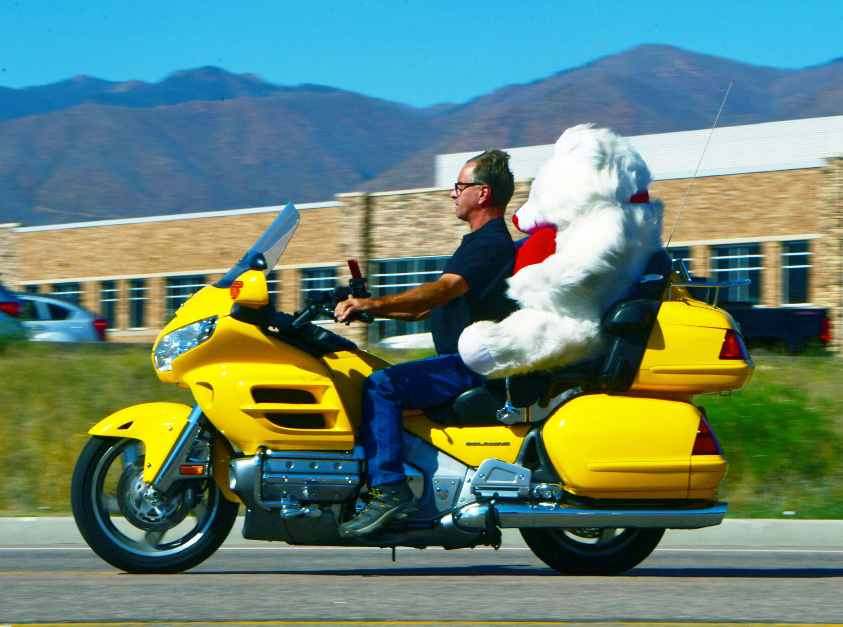 100520-news-toyrun 12.JPG